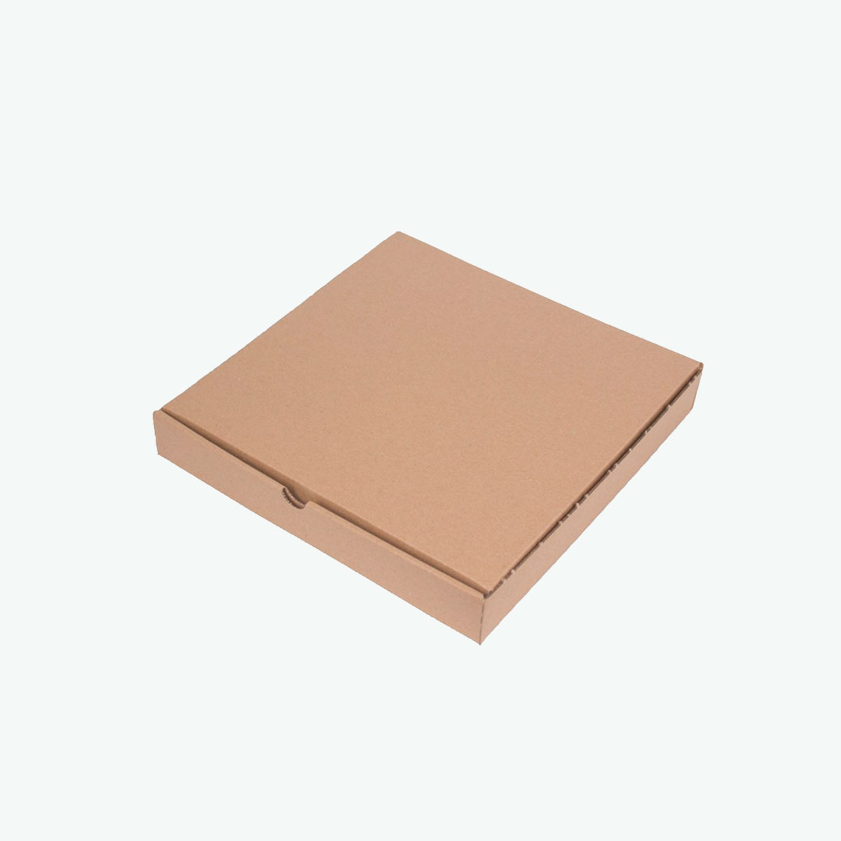 Caja de Pizza 30x30x4